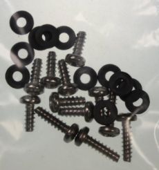 Mk2 Cortina Rear Light Lens Screws in Stainless with Ruber Washer