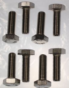 Mk2 Escort Door Check Plate Bolts & Washers All Stainless x 4